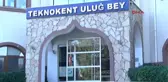 Antalya Arı Zehri Saflaştırılıp Tıbba Kazandırılacak