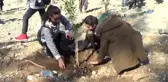 Hatay'da Öğrenciler Narenciye Bahçesi Kurdu
