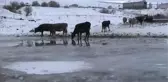 Aktaş Gölü Dondu