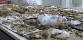 İstanbul'un Tarihi Yeniden Ortaya Çıkıyor
