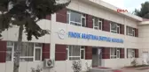 Giresun Fındıkta Sertifikalı Fidan Üretimine Geçiliyor