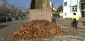 Okul Bahçesine Bir Kamyon Yaprak Döküldü