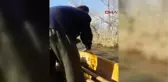Sakarya Gölete Ağ Atan Restoran İşletmecisine Ceza