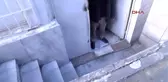 Fatih'teki Garip Olay... Kaldırım Taşları Söküldü, Evine Kavuştu