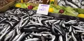 Hamsinin Kilogramı 20 Liraya Yükseldi