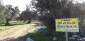 Çöplüğe Dönen Zeytinliklere Vatandaşlar Tepki Gösterdi
