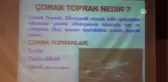 Çorak Toprakların Islahı ve Tarımsal Üretimde Kullanma Olanakları
