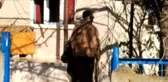 Kadın Hakları Gününde Genç Kız Sokak Ortasında Başından Vuruldu