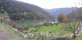 Çiçek Üreticilerinin Sulama Talebi