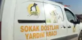 Gaziantep Köpeği Av Tüfeğiyle Vurdular