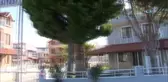 Altınova Sahili Sakinlerine Hırsızlar Dadandı