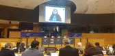 Avrupa Parlamentosu'nda Skandal! YPG'li Terörist Canlı Bağlantı Yapıp Akıl Verdi