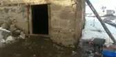 Bitlis'te 200 Koyun Telef Oldu