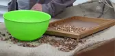 Bor