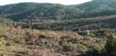 Çanakkale'de Çevre Eylemi