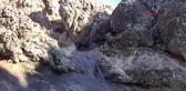 Adıyaman Her Yıl Son Maaşıyla Yem Alıp, Hayvanlar İçin Doğaya Bırakıyor