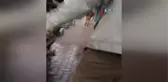 Yüzüne Kimyasal Madde Atılan Kadının Durumu İyiye Gidiyor