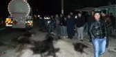 Sürüye Dalan Tanker, Çobanı Öldürdü! Çoban Köpeği, Cesedin Başında Bekledi