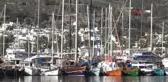 Bodrum'da Hazine Arazilerinin Özeleştirilmesi Kararına Tepki