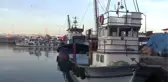 Balıkçılar Bu Sezon Umduğunu Bulamadı