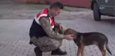 Cesur, Asker Abilerine Kavuştu
