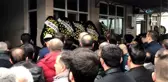 Zeytin Ağacından Düşen Gazi Hayatını Kaybetti