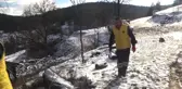 Haber Alınamayan Ailenin Köpekleri Barınakta