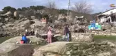 Geleneksel Yöntemle Elde Edilen Zeytinyağına Rağbet