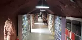 Temizlik İşçileri Çöpten Topladıkları Kitaplarla Kütüphane Kurdu