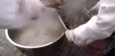 4 Ton Hamsi Festivalde Dağıtıldı