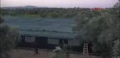 Aydın Kuşadası'nda Salyangoz Üretecekler