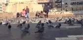 Ankaralılar, Aa'nın Foto Muhabirlerinin Çektiği Fotoğraflar İçin Oy Kullandı