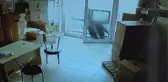 Hırsızlık İçin İş Yerine Girdiğini İddia Ettiği Kişiyi Dövdü