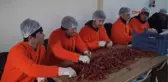 Kahramanmaraş Askerin Baharatı, Kahramanmaraş'taki Cezaevinden