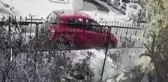 Pitbullun Sokak Köpeğine Saldırdığı Anlar Kamerada