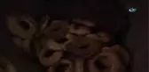 Tandır Ekmeği 69 Yaşındaki Ayşe Teyze'nin Geçim Kaynağı Oldu