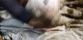 Ağrı'da Besicinin İneği Çift Başlı Buzağı Doğurdu