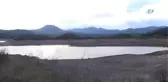 Göle Girmek Yasaktır' Yazıyor, Ancak İnekler Otluyor