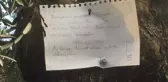 Kamyonuyla Zeytin Ağacının Dalını Kıran Şoför, Not Astı: Hakkınızı Helal Edin!