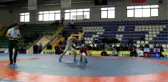 Türkiye Grekoromen Güreş Şampiyonası Sona Erdi