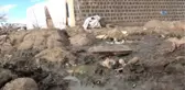 11 Nüfuslu Ailenin Tek Odalı Evde Yaşam Mücadelesi