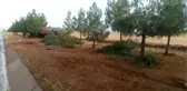 Otomobil Devrildi: 1 Ölü, 4 Yaralı