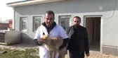 Tedavi Edilen Tilki Doğaya Salındı