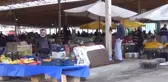 Kuzey Ege'nin Ot Yemeklerini Festivalle Tanıtacaklar