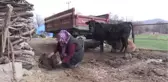 Garipçe'nin Ümmü'sü