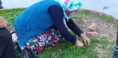 Kanser Hastası Olduğunu İleri Süren Kadın Yol Kenarında Yemeklik Ot Topladı