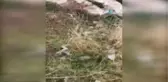 Kalede Düşerek Hayatını Kaybetmişti... Kaleden Düşme Anına Ait Video Ortaya Çıktı
