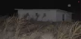 Domuz Bağıyla Bağlayıp Boş Binada Bıraktılar - Konya