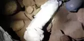Ağrı Dağı'nda Terör Operasyonu