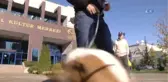 Hayvan Barınağından Tiyatro Sahnesine... Boncuk İsimli Köpek Sahneye Çıkıyor